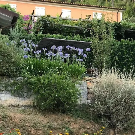 Casa Rosa In Collina Apartment Pietrasanta